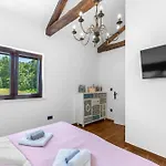 Villa Vesna Branka *
