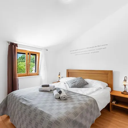 Vesna Branka ヴィラ *